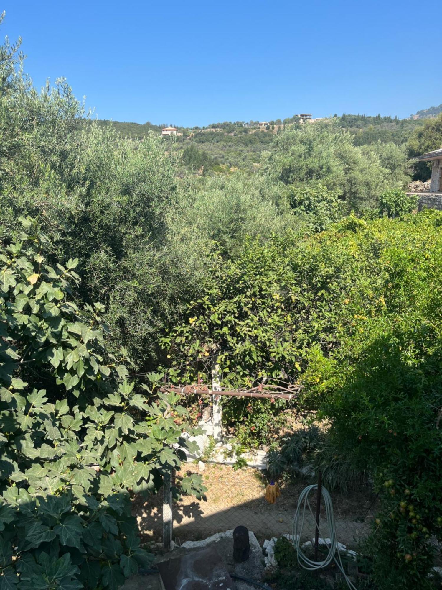 Sun George Bed and Breakfast Χειμάρρα Εξωτερικό φωτογραφία